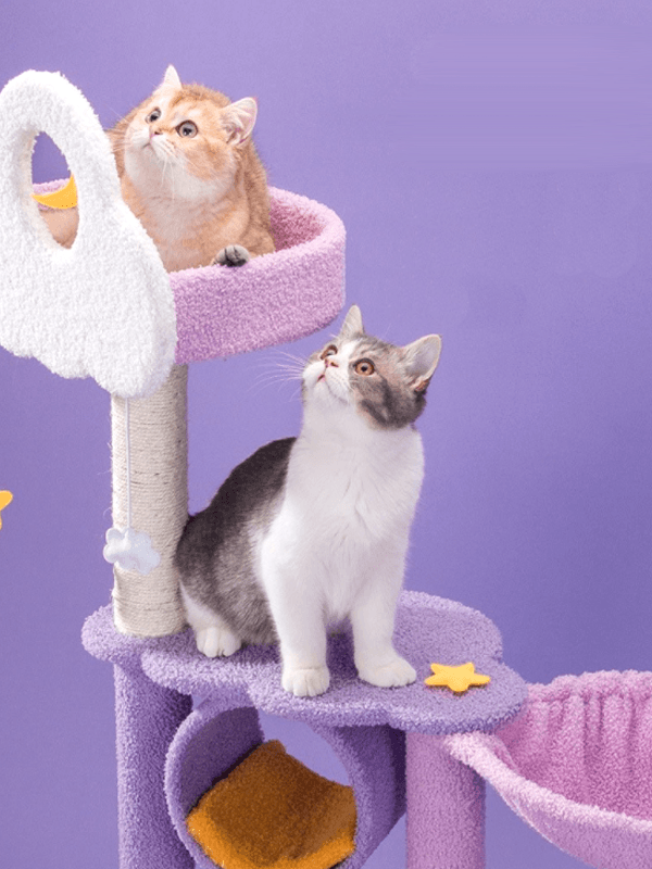 クラウドドリームキャットタワー 2076