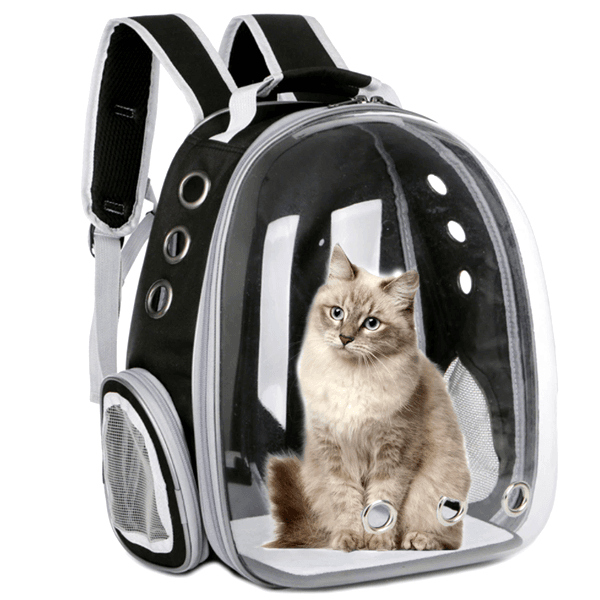 猫ちゃんスケルトンバッグ 2002