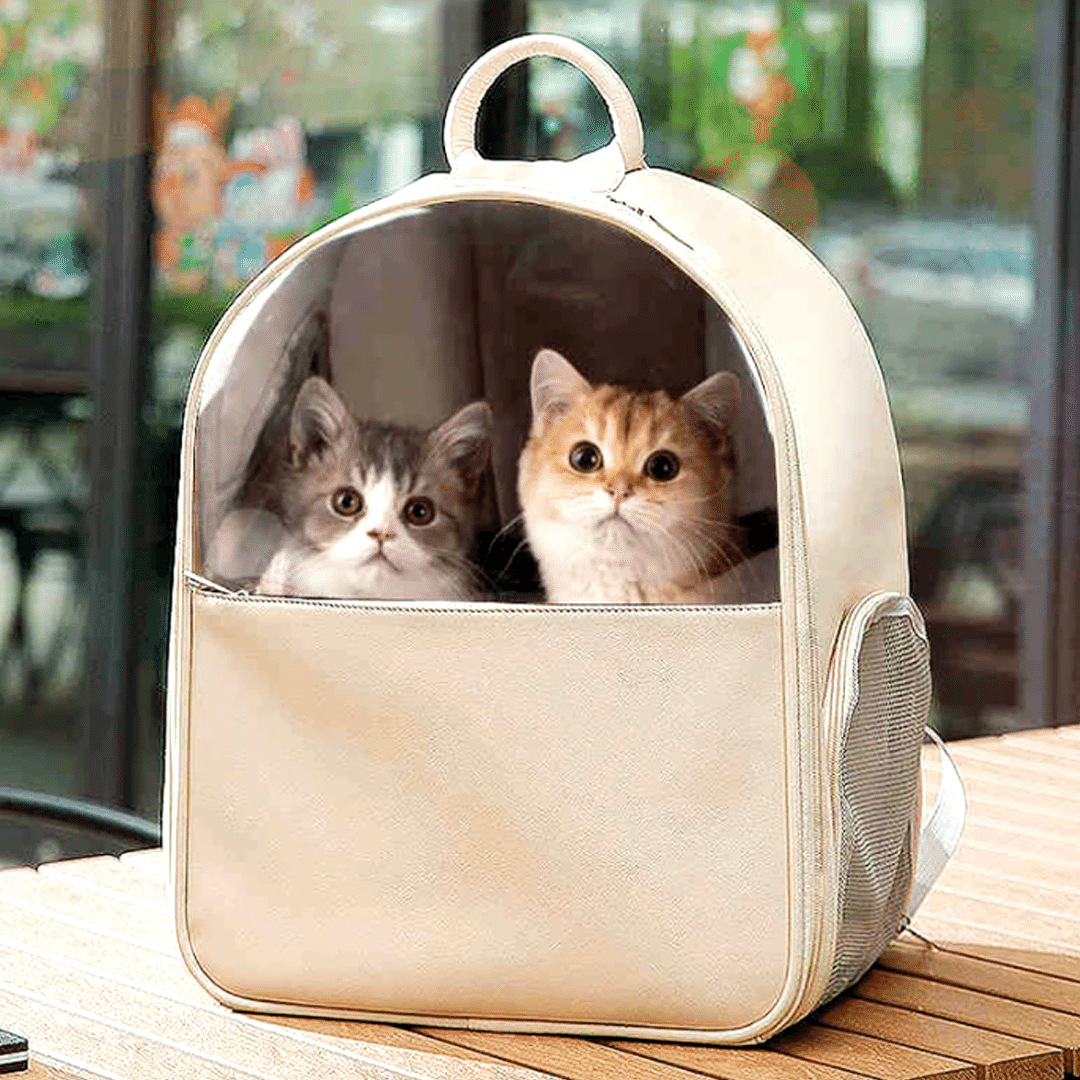 猫ちゃん透明スペースバッグ 2010