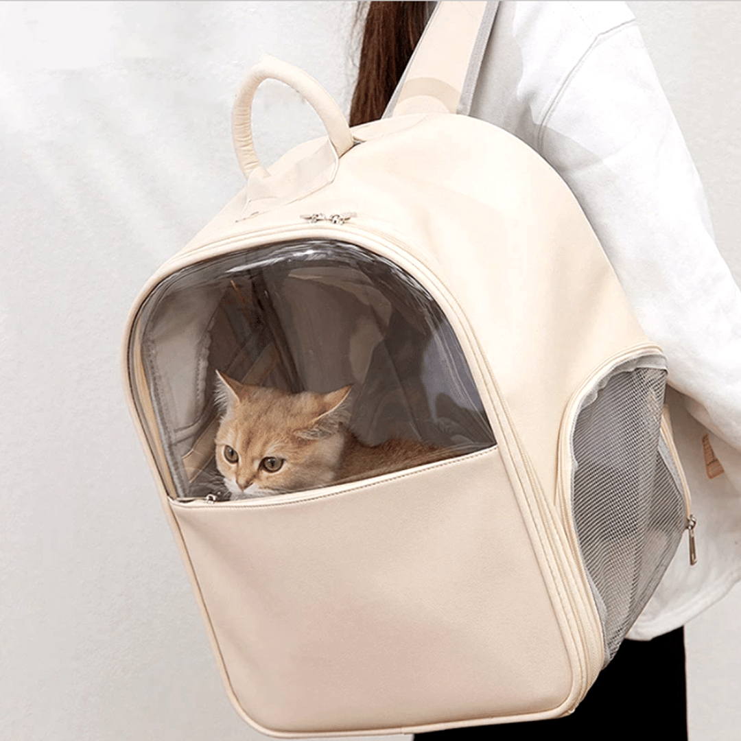 猫ちゃん透明スペースバッグ 2010
