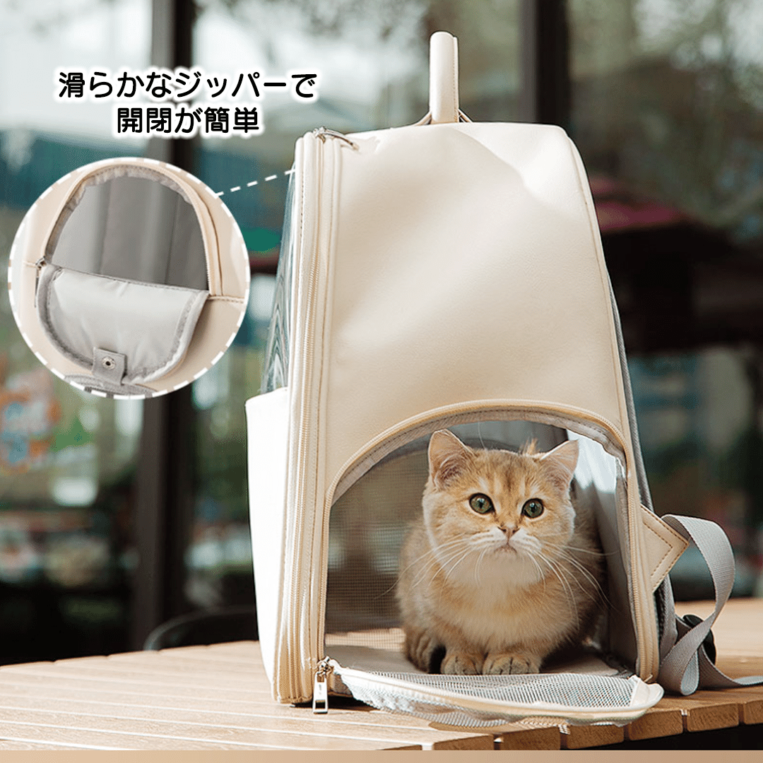 猫ちゃん透明スペースバッグ 2010