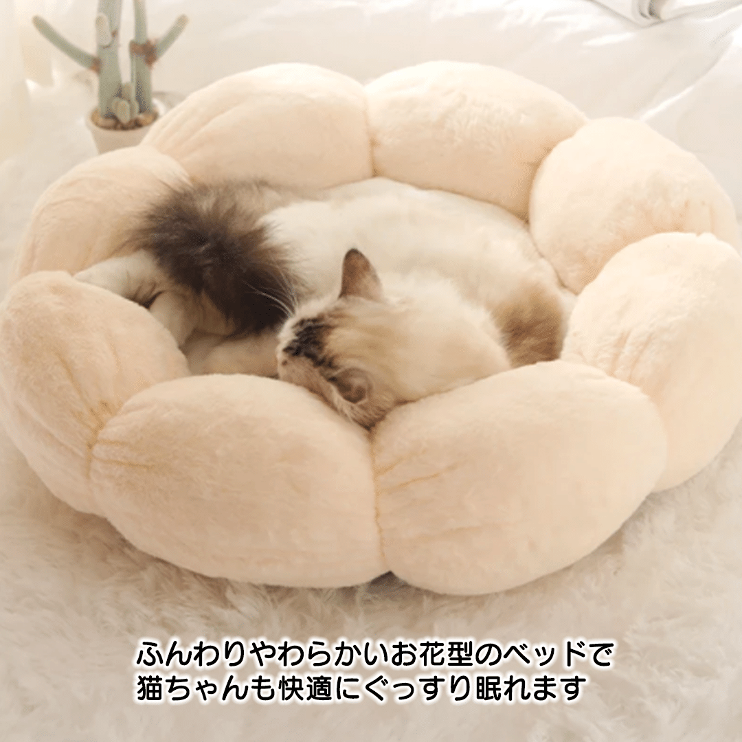 ふんわりお花ラビットファーベッド 2023