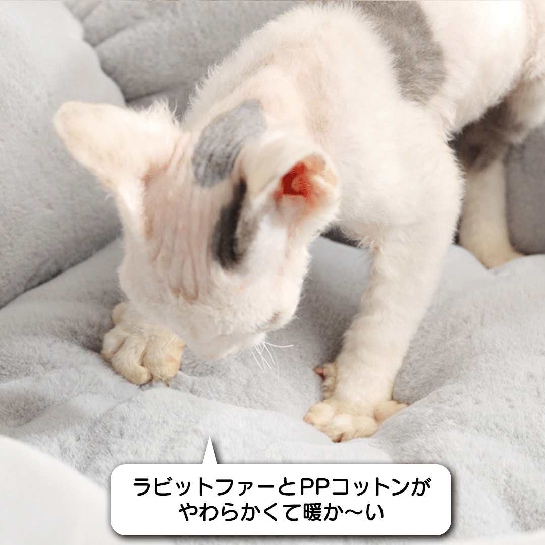 ふんわりお花ラビットファーベッド 2023