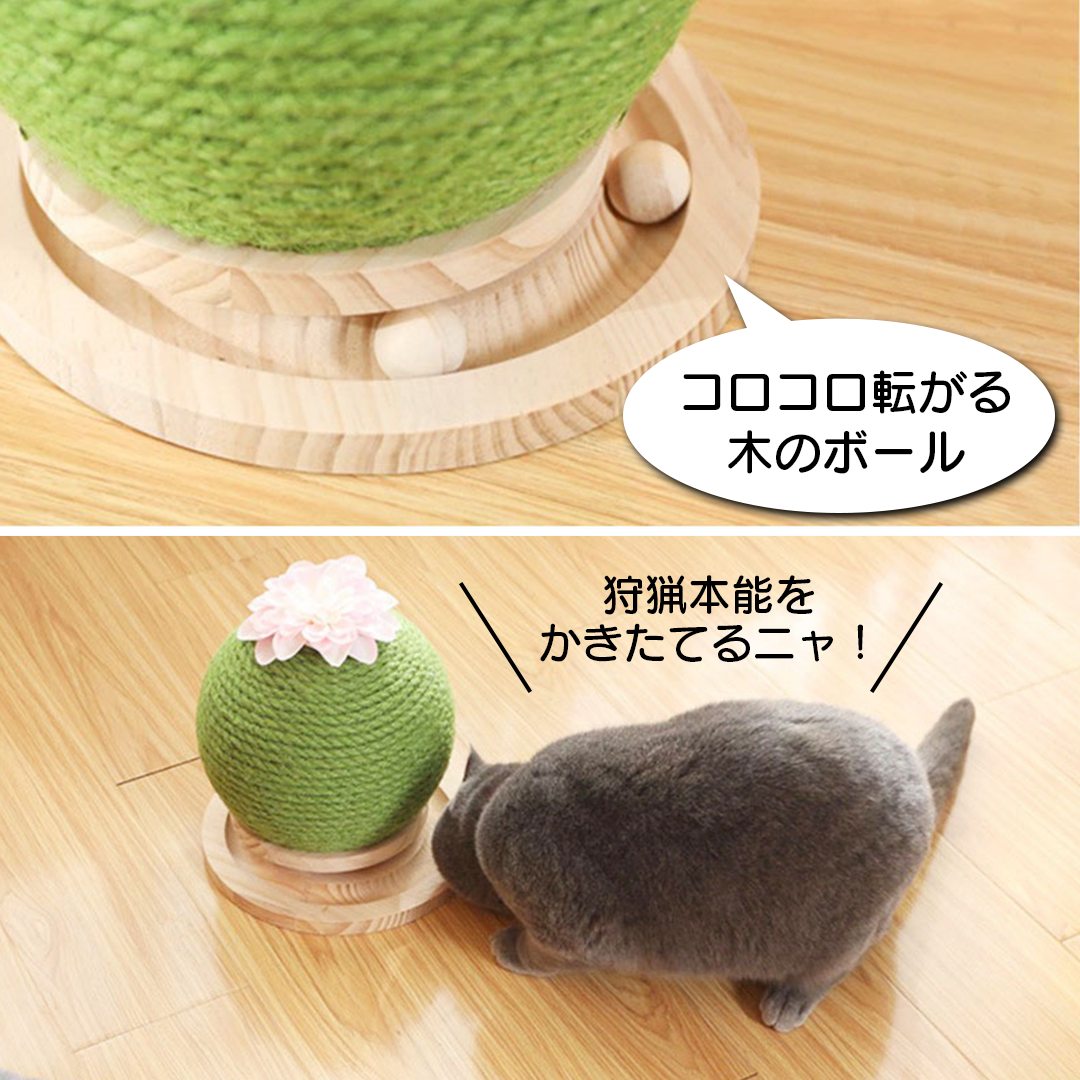 まんまるサボテン爪とぎ 2066