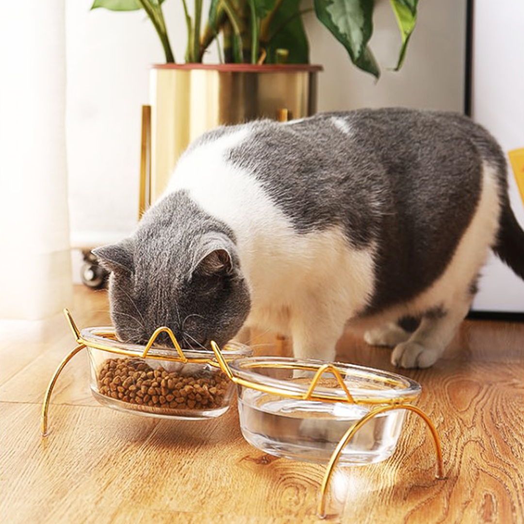 猫フレームフードボウル 2061