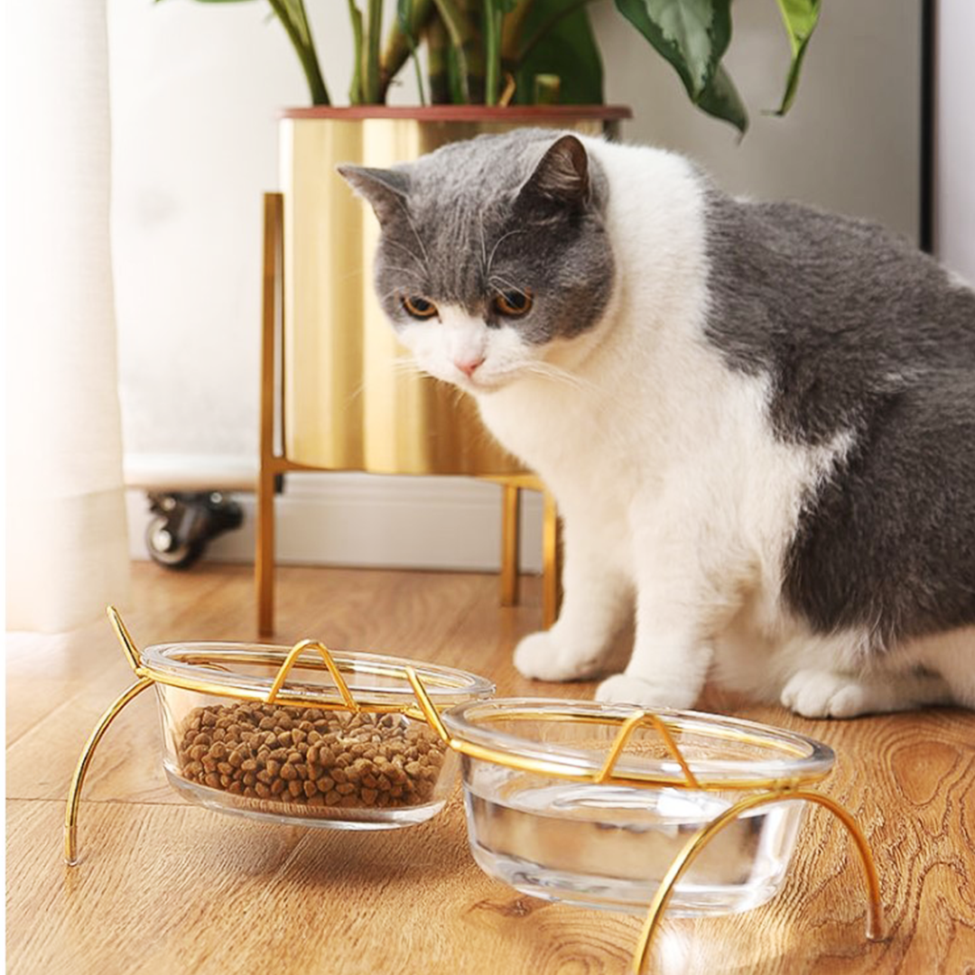 猫フレームフードボウル 2061