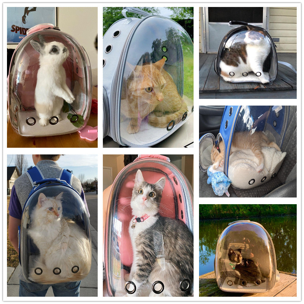 猫ちゃんスケルトンバッグ 2002