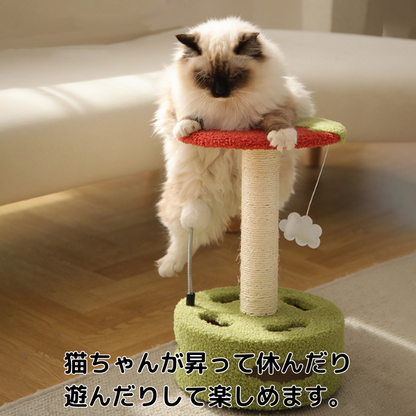 くるくるボールとゆらゆらトマトの爪とぎポール2406