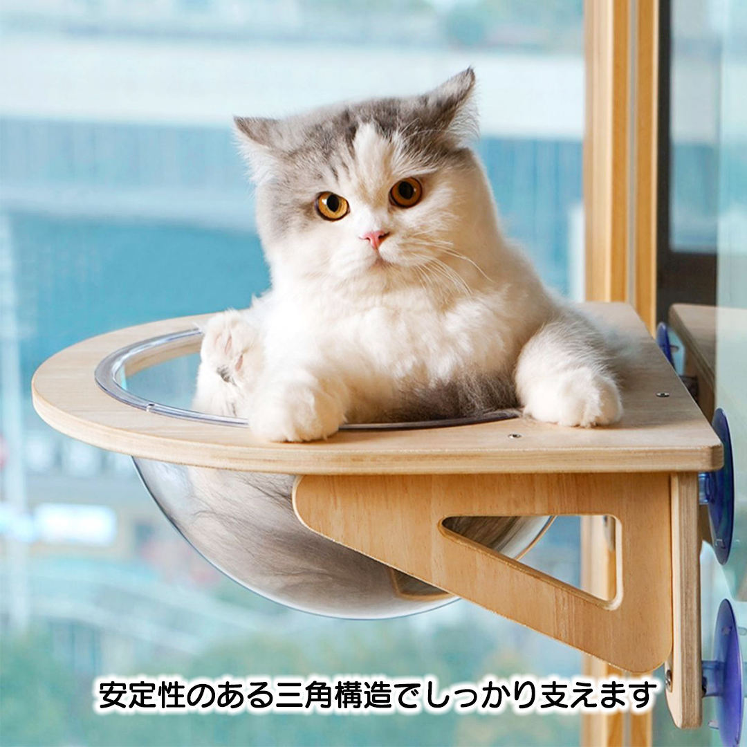 ウインドウカプセルベッド　2173
