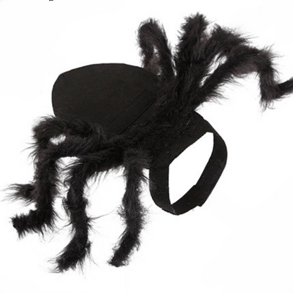 猫ちゃんスパイダー 2309