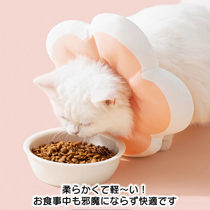 ふんわりお花のエリザベスカラー 2164