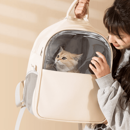 猫ちゃん透明スペースバッグ 2010