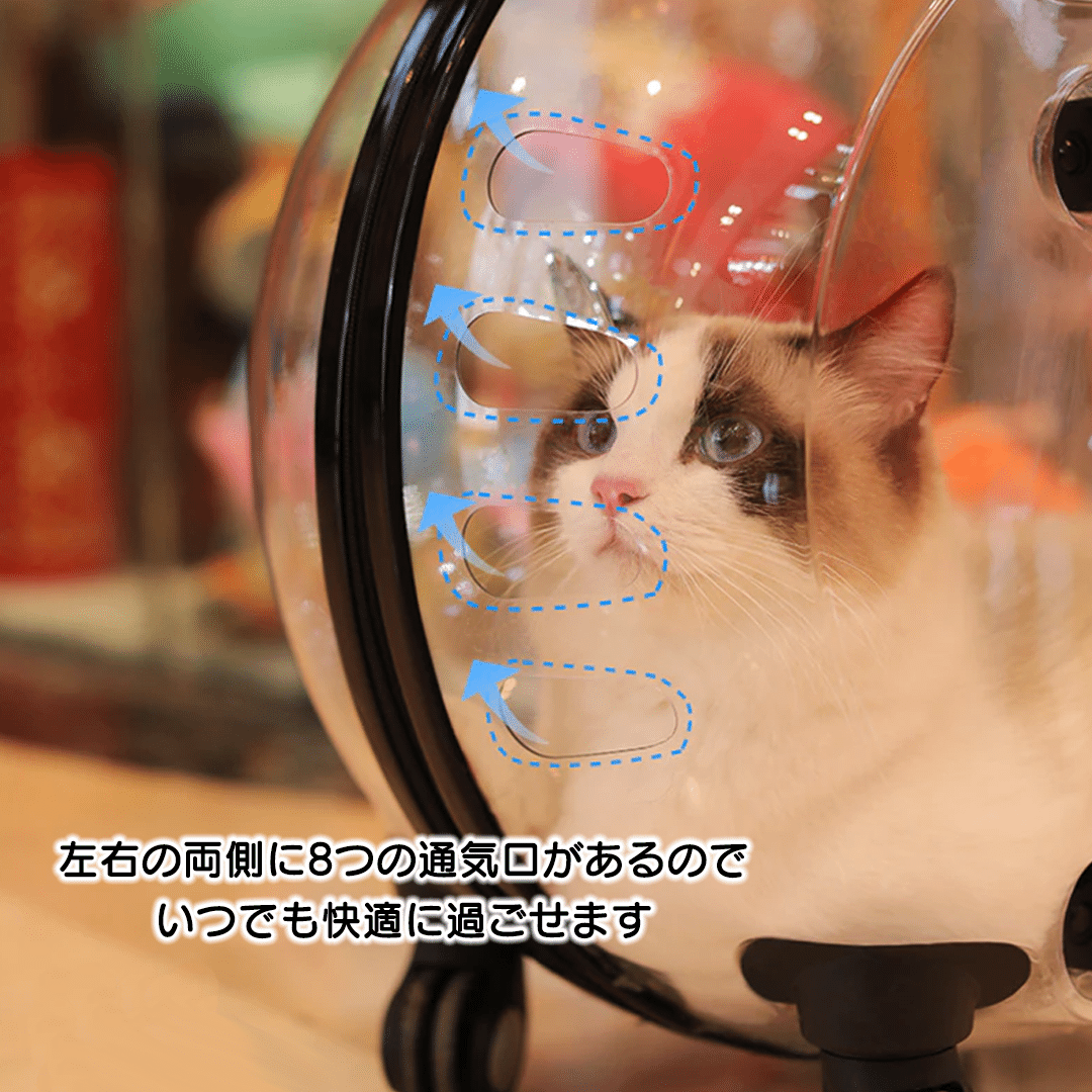 猫ちゃん透明カプセルキャリーカート 2011