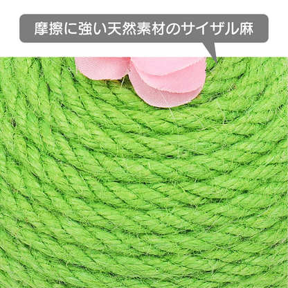 まんまるサボテン爪とぎ 2066